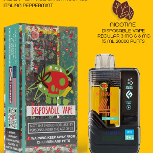 PEPPERMINT 20000 PUFFS VAPE NICOTINE REGULAR WITH ICE OR WITHOUT ICE 15 ML NO:04