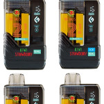 KIWI STRAWBERRY  20000 PUFFS VAPE NICOTINE SALT WITH ICE OR WITHOUT ICE 15 ML NO:21