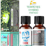 MANGO HYBRID NATURAL TERPENES ( READY FOR MIXING ) 5ML - 10 ML - 15ML