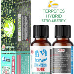 STRAWBERRY HYBRID NATURAL TERPENES ( READY FOR MIXING ) 5ML - 10 ML - 15ML